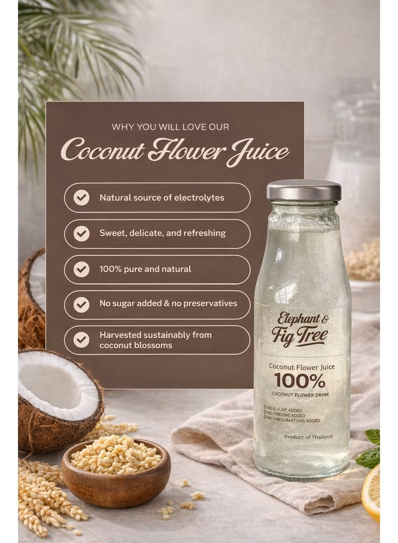6×1 Pure Coconut Flower Juice – 100% Natural Drink, No Added Sugar, No Preservatives