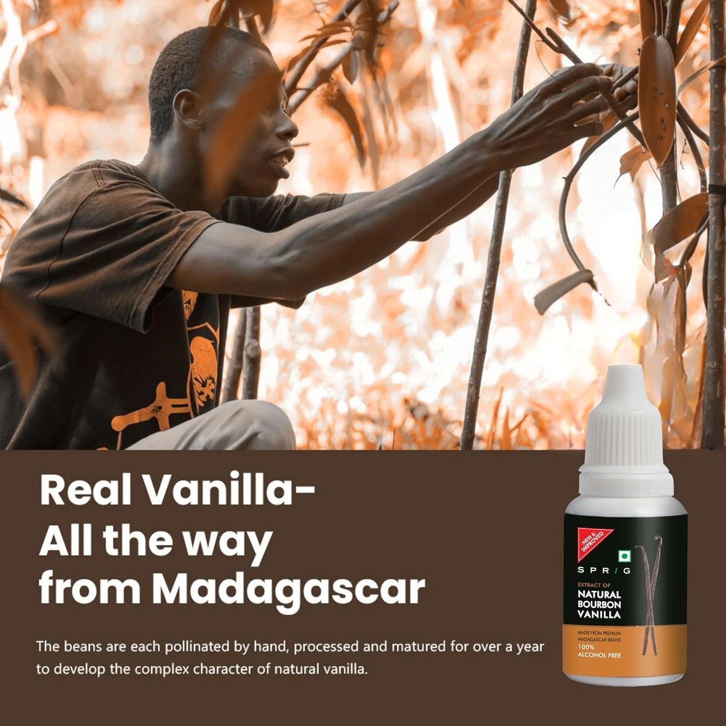 Natural Bourbon Vanilla Extract