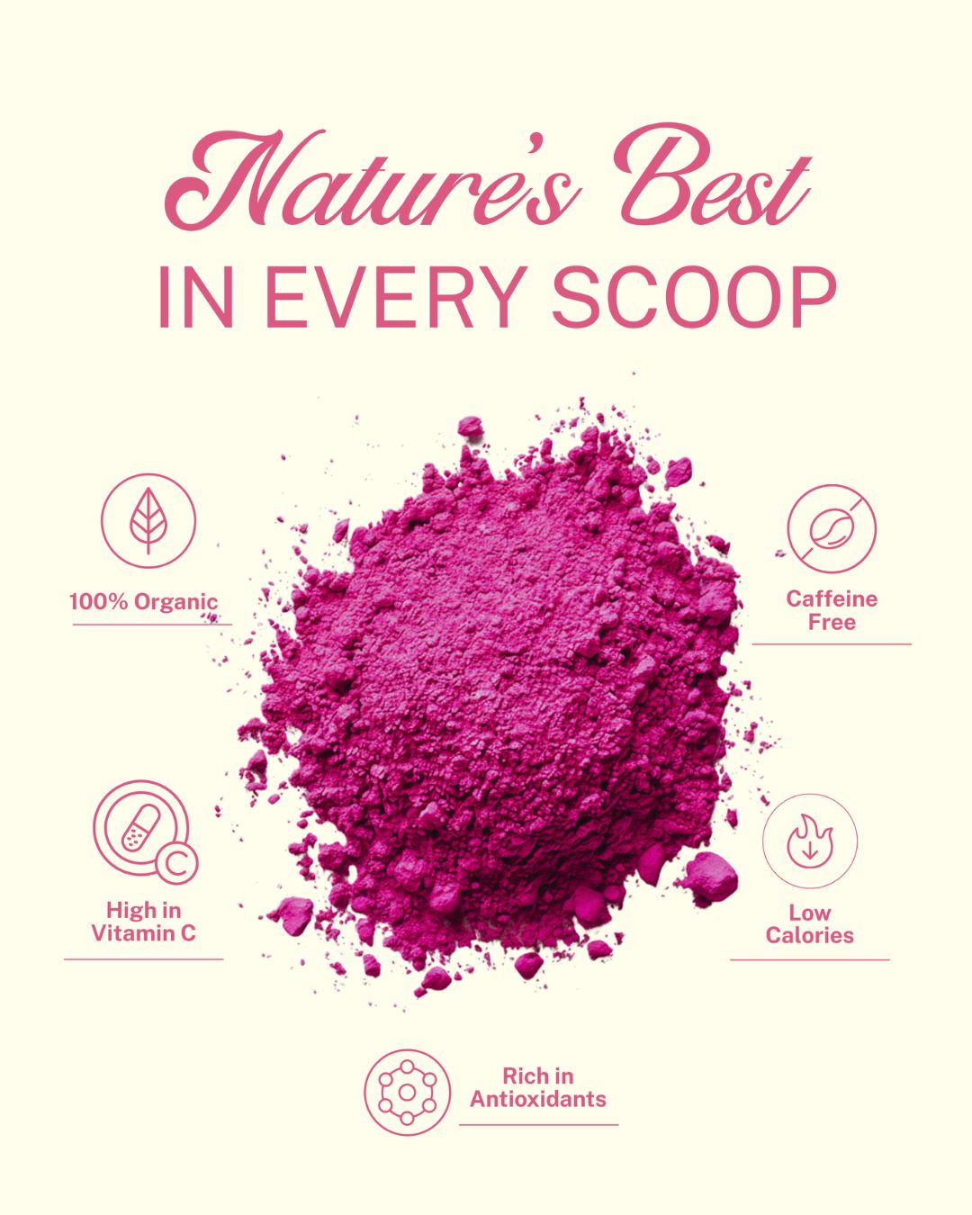 Pink Pitaya Powder - Pink Matcha