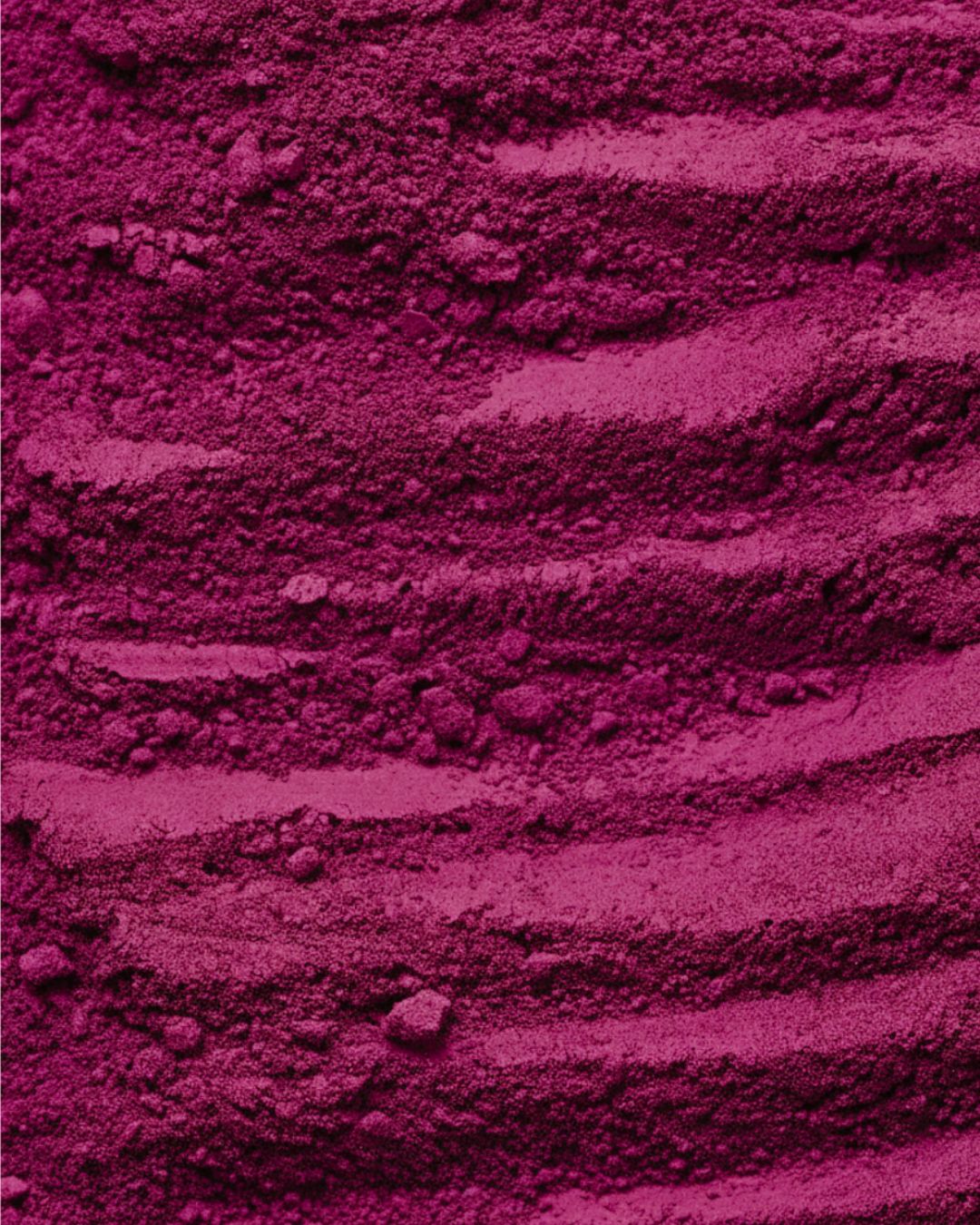 Pink Pitaya Powder - Pink Matcha