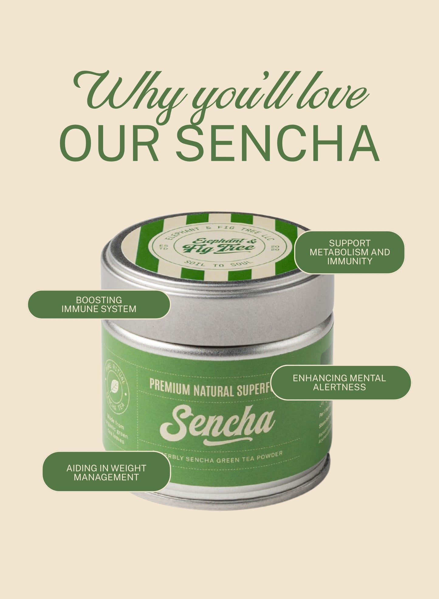 Sencha Powder